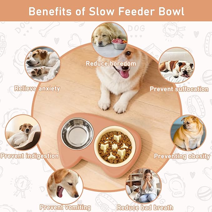 Slow Feeder Dog Bowls 4 in 1, Slow Feeder Bowl, Stainless Steel Water Bowl with Non-Slip Silicone Mat and Standard Bowl Set, Cat and Puppy Bowls Pet Dishes for Small Medium Breed Anti-Choking