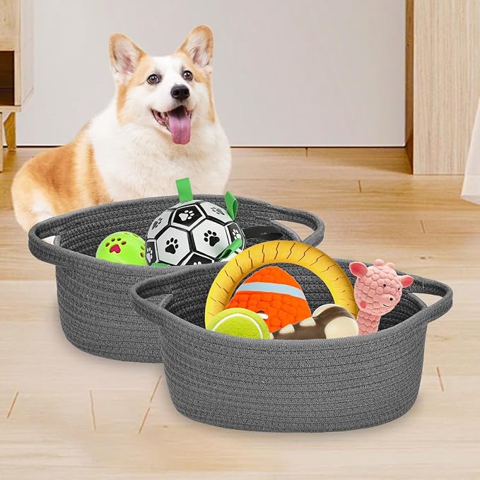 ABenkle Small Basket with Handles, Boho Decorative Rope Woven Dog Cat Toy Storage Bin Shelf Storage Organizer, Easter Christmas Gift Basket, 12"x8"x5"