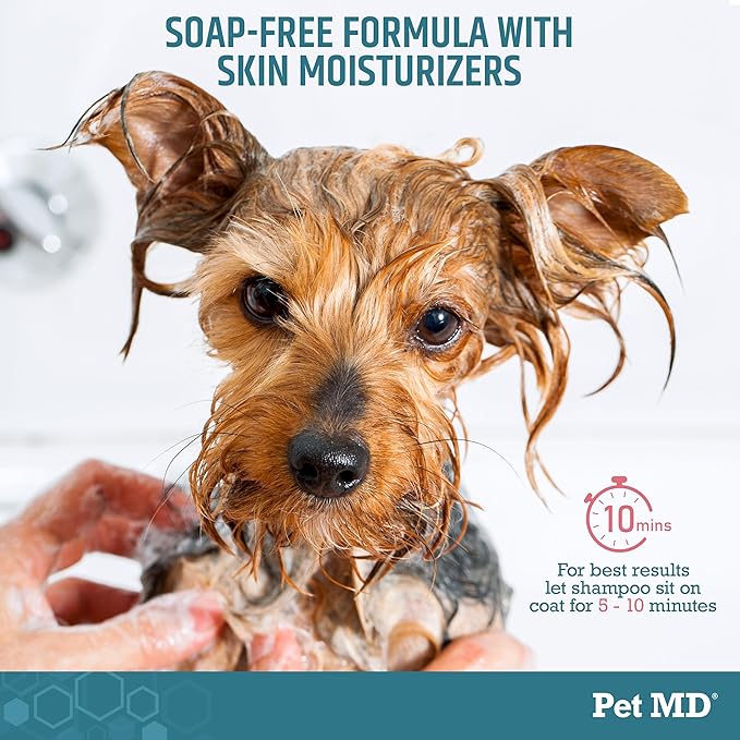 Pet MD Benzoyl Peroxide Shampoo for Dogs and Cats – Helps Relieve Itchy, Oily & Flaky Skin – Deep Cleansing & Deodorizing Formula – Scented – 12oz