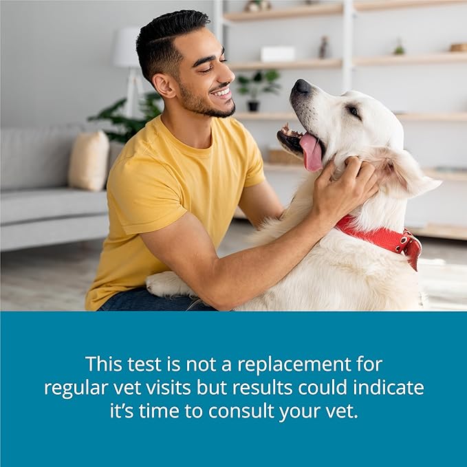 Petivity At-Home Oral Health Test for Cats & Dogs — 10-Second Dental Check Kit by Purina — Simple Saliva Swab to Detect Bad Breath & Gum Issues - (Pack of 1)