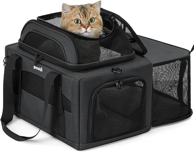 Pecute Top Expandable Airline Approved Pet Carrier for Cats, Dark Gray | Airline Approved Dog Carrier, Under-seat, Breathable, Anti-scratch Mesh, Safety Leash, Locking Zippers, Leakproof Pee Pad