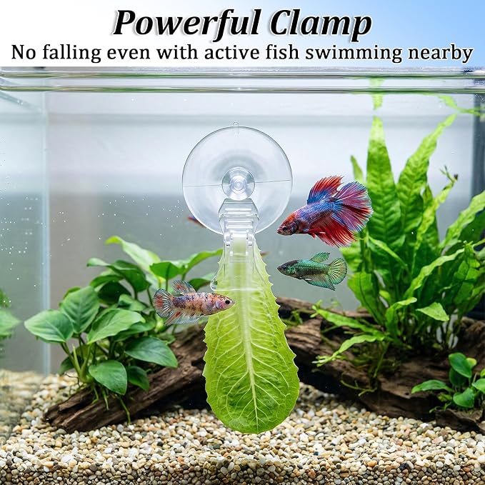 6 Pcs Aquarium Suction Cups with Clips - Aquarium Suction Cup Clips