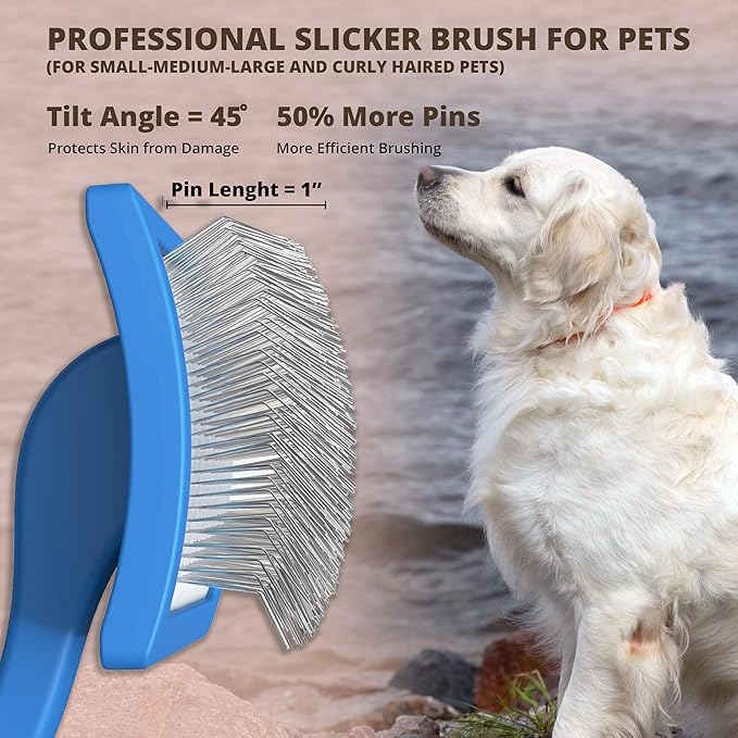 Slicker Brush for Dogs, Dog Brush for Shedding Massaging, Doodle Brush for Long Haired Dogs with Extra Long Pins to Effectively Remove Tangles, Knots and Mats (LARGE) (Blue, Large)