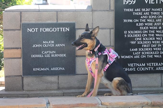 Boss Dog Tactical Molle Bag, Pink Camo, Large