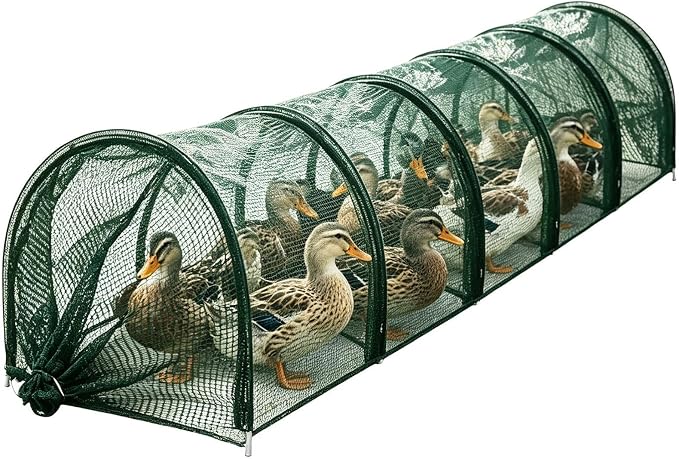 Chick Run - Sun Protection Net Chick Run, Flexible Portable Expandable Foldable Playpen, Pop-Up Mesh Poultry Brooder Enclosure | Outdoor Pasture Habitat Tent for Ducks Geese Rabbits Small