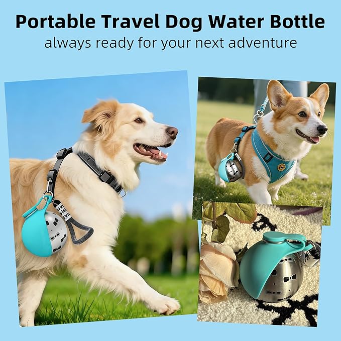 2 In 1 Portable Dog Water Bottle with Foldable Silicone Bowl, 10 Oz Travel Water Bottle for Dogs Drinking, Leakproof Stainless Steel Pet Water Bowl for Outdoor Walking Hiking Camping (Blue with Print)
