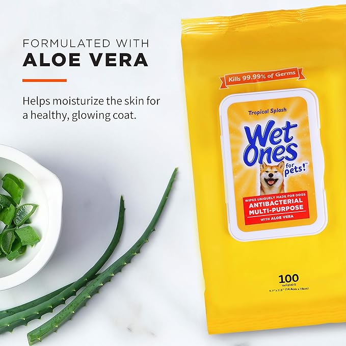 Wet Ones for Pets Multipurpose Dog Wipes with Aloe Vera, Tropical Splash Scent - Pet Bathing Wipes with Wet Lock Seal for Dog Paws and All-Over Use, 100 Count