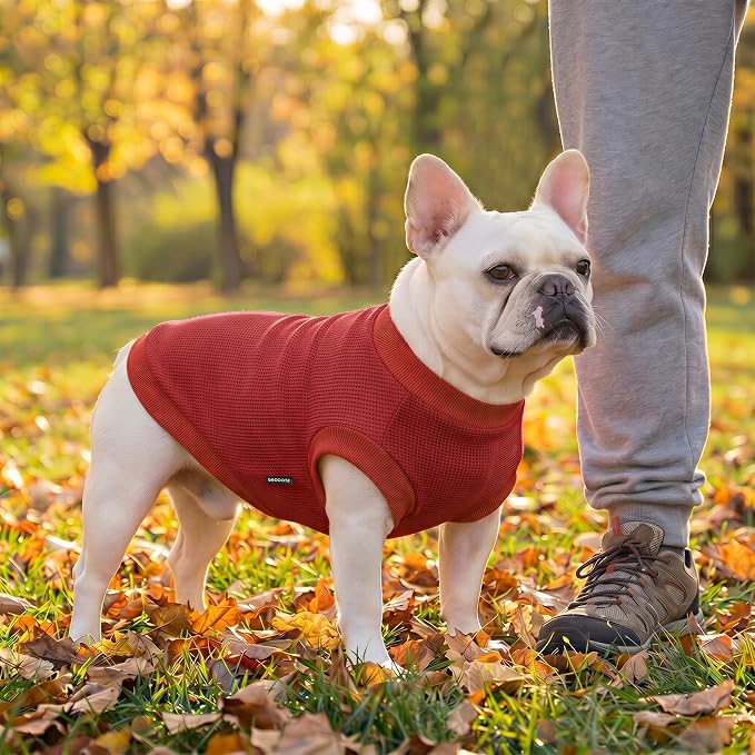 1 Pack Dog Shirt for Small Supplies Functional Waffle Dog Clothes Warm Soft Sweatshirt Outfit for Dogs Cats Pet Apparel