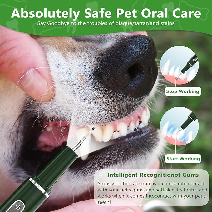 Opdent Dog Plaque Remover for Teeth - Pet Ultrasonic Tooth Cleaner, 6 Adjustable Modes Dog Teeth Cldaning Kit with LED Light, Cats and Dogs Tartar Remover for Teeth (Green, Large)