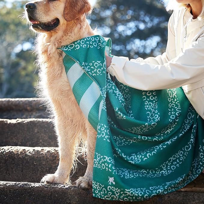 Dock & Bay Pet Towel - Super Absorbent & Quick Drying Dog Towels with Bag - 100% Recycled - Woofs Go Wild, Medium (90x50cm, 35x19)