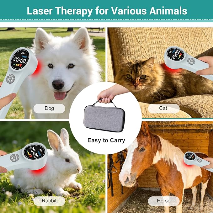 Cold Laser Therapy Device for Dogs, Infrared Red Light Therapy Device | 980nmx4 810nmx4 660nmx16, Handheld Cold Laser Therapy Device for Pain Relief, Arthritis, LLLT for Dogs, Cats, Horses, Equnie