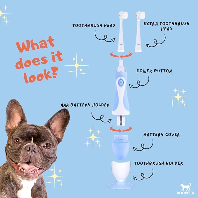 Generic Pet Electric Toothbrush for Dogs and Cats with LED Light & Soft Bristles, Blue/White