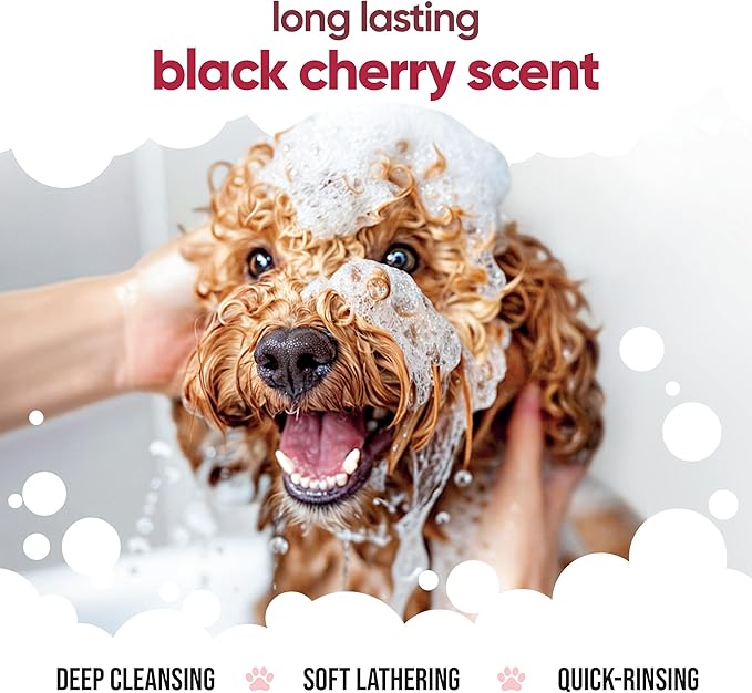 Black Cherry Dog Shampoo by Buddycare | Deep Cleansing Shampoo for Dogs | Black Cherry Scented | with Aloe Vera and Pro Vitamin B5 (169.07oz)