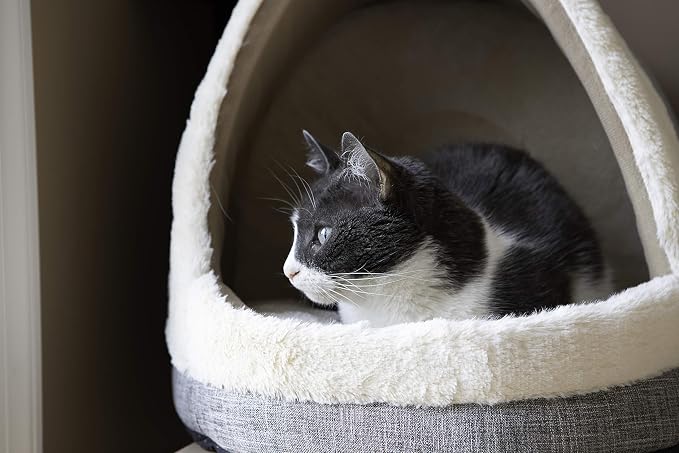 Best Pet Supplies Cat Bed for Indoor Cat, Domed Tent House with Removable Pillow, Covered Cat Cave for Small Dog, Puppies and All Breeds of Cats - Gray, 17 x 15 x H:14"