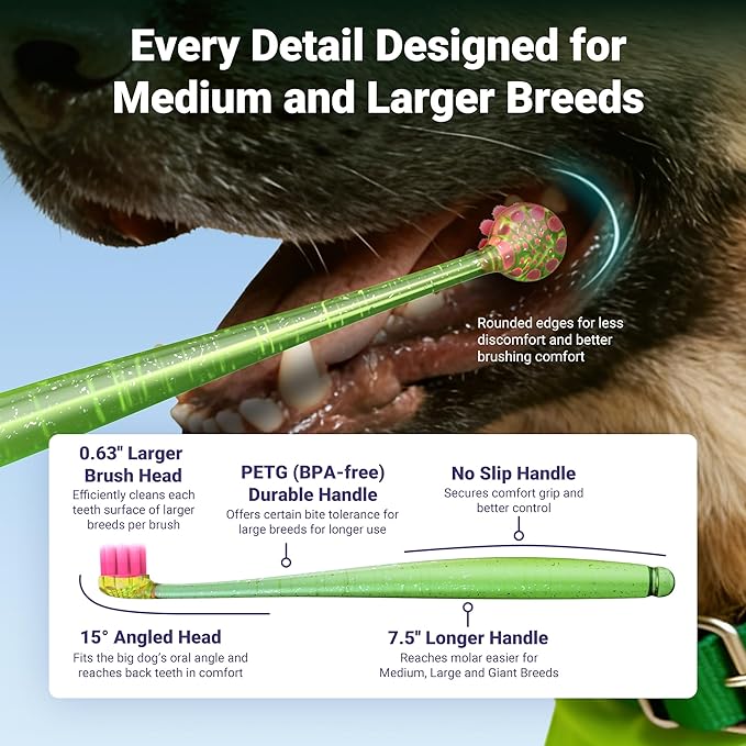 Dog Toothbrush for Medium and Large Dogs, 2pcs, Ultra Soft Bristle, Long-Lasting Handle, Pet Tooth Brush and Dog Dental Care Kit, Super Thin Bristle Gentle on Gum for Sensitive Pets, Green