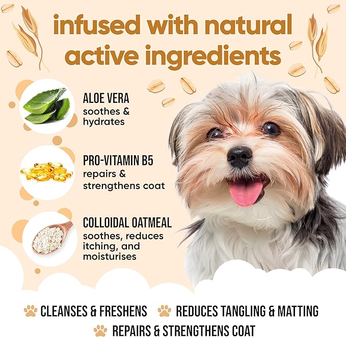 Buddycare Oatmeal Dog Shampoo for Smelly Dogs (16.90oz) - Hypoallergenic & Itch Relief Formula, Gentle on Sensitive Skin, Includes Dog Shampoo and Conditioner - Essential Dog Grooming Supplies