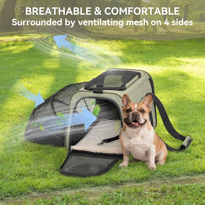 Petsfit Large Expandable Cat Carrier for Travel, Up to 18 lb | 19 x 12 x 12 in; roomy expandable space with a reinforced frame, locking zippers, interior safety tether and large pocket.