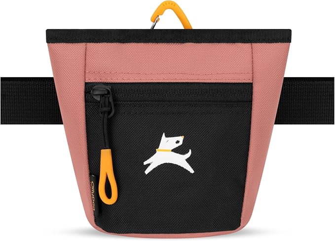 OllyDog, Goodie Treat Bag, Dog Treat Training Pouch | Magnetic Closure | 3 Ways to Wear | Hands-Free Waist Belt | Water-Resistant Recycled Vegan Fabric (Desert)