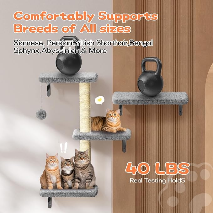 6-in-1 Wall Mounted Cat Climber Set for Heavy Cats,Wall Shelves,Stable & Safe Cat Furniture Set for Large Cats, Wooden Climbing Wall with Scratching Post (Grey)