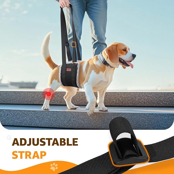 Adjustable Dog Sling for Medium Dogs Soft Post-ACL Surgery Mobility Aid | Dog Lift Harness, Helps Seniors, Injured, Disabled and After ACL Surgery Dogs, Daily Walk/ Stairs, Soft Padded, Easy to Use