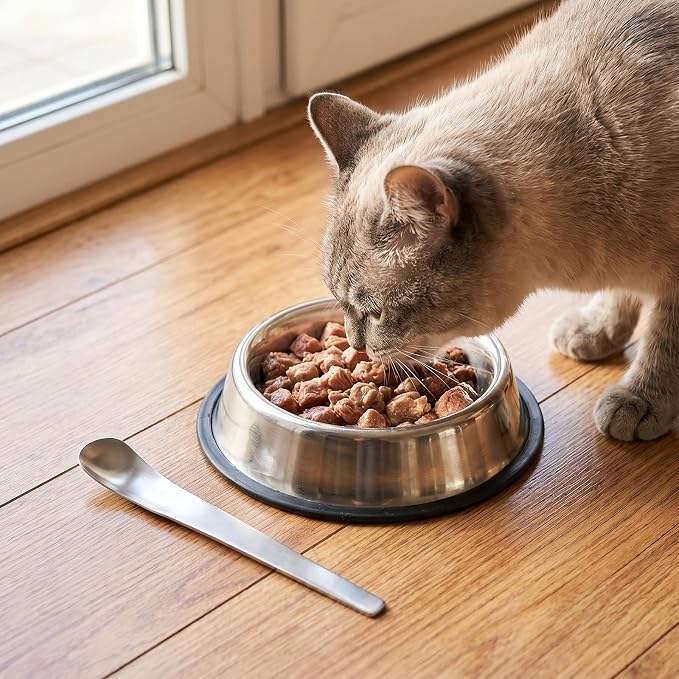 4 Pcs Dog Cat Spoon Wet Dog Food Scoop Portable Pet Feeding Spoon Stainless Steel Pet Food Can Spoons Wet Foods Storage and Feeder Pets Ladle for Cat Dogs Canned Foods(Silver)
