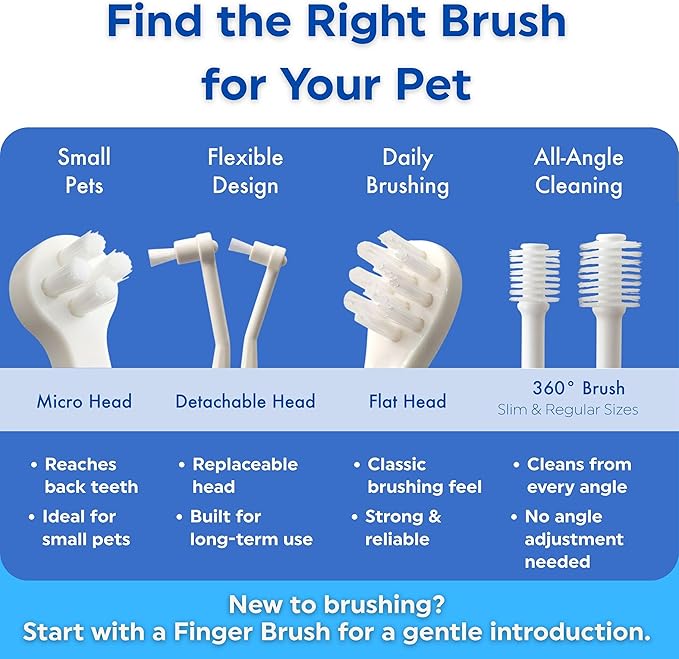 MIND UP Dog Toothbrush with Micro Head, 15° Angled Handle for Ultra-Small Dogs, Pet Toothbrush for Back Teeth & Hard-to-Reach Areas, Made in Japan, 3EA