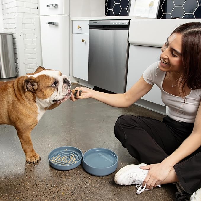 Should We Go? Dog Water Bowl - The Perfect Dish No-Spill, Less Mess Non-Tippable Water & Food Bowl, Silicone with Suction Cup, Fits 5 Cups 7.5" Across x 2.25" Tall, Ideal for All Pets, Medium-Charcoal