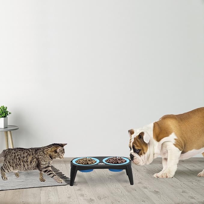 Elevated Pet Bowls Collection with Non Slip Stand for Dogs and Cats-Removeable and Collapsible Silicone Feeder for Food and Water- 16 Oz Each by PETMAKER (Pink), Blue