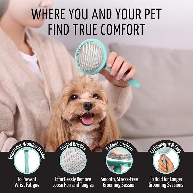 Tauro Pro Line Slicker Brush for Dogs & Cats, Deshedding, Dematting & Detangling Grooming Tool for Medium to Long Coats, Ideal for Cocker Spaniels, Round Flexible Cushion, Mint, Medium Size (M)