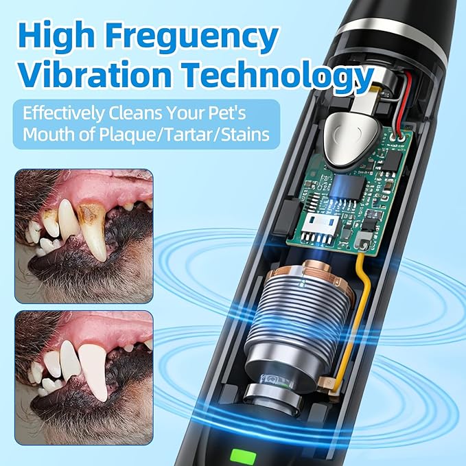 Plaque Remover for Teeth, Pet Ultrasonic Cleaner, Dog Plaque and Tartar Remover with LED Light, Dog Teeth Cleaning Dental Care Kit for Tartar and Stains, Suitable for Dogs and Cats (Black-1)