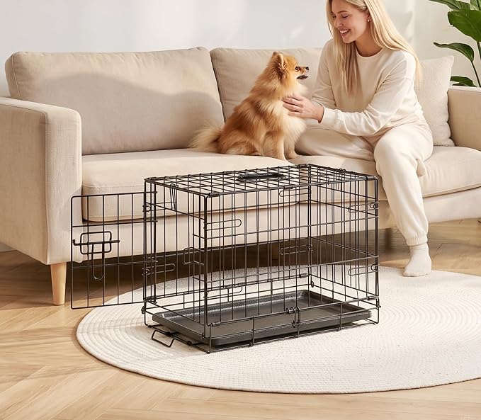 Portable Single Door Dog Crate, Durable Metal Wire Cage with Removable Tray | 24 Inch Folding Metal Wire Pet Kennel with Plastic Leak-Proof Pan, Handle for Indoor, Outdoor, Travel