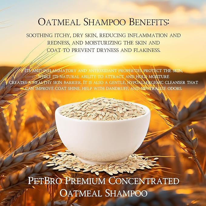 Premium Concentrated Oatmeal Dog Shampoo with Coconut and Aloe (17 oz) - Soothing and Itch Relief, Moisturizes Dry Skin