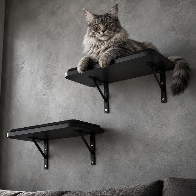 Cat Wall Shelves Set of 2, Black Solid Wood Window Perches with Sisal Mats | Removable Black Sisal Mats, Wall-Mounted Cat Furniture for Climbing, Scratching and Lounging, 16.6 x 9.7 Inch