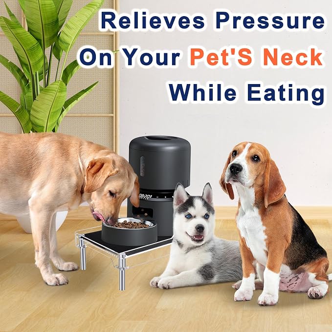 Beautyflier Raised Dog Feeder Stand Elevated Holder for Automatic Cat & Dog Feeders Pet Water Bowl Dispenser Stand Adjustable Fits Small Jugs Holds 5KG, Black (Holder ONLY)