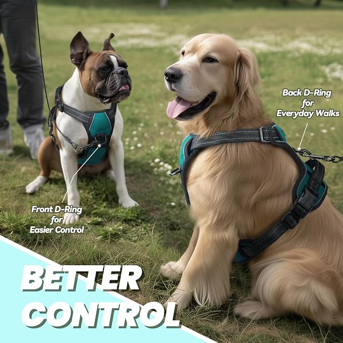 VIVAGLORY No Pull Dog Harness Vest Harness, XS, Hunter Teal - Plain | with Handle Front and Back Clip for Training & Pulling, No Pull & Escape Proof Padded Adjustable for Pet Puppy
