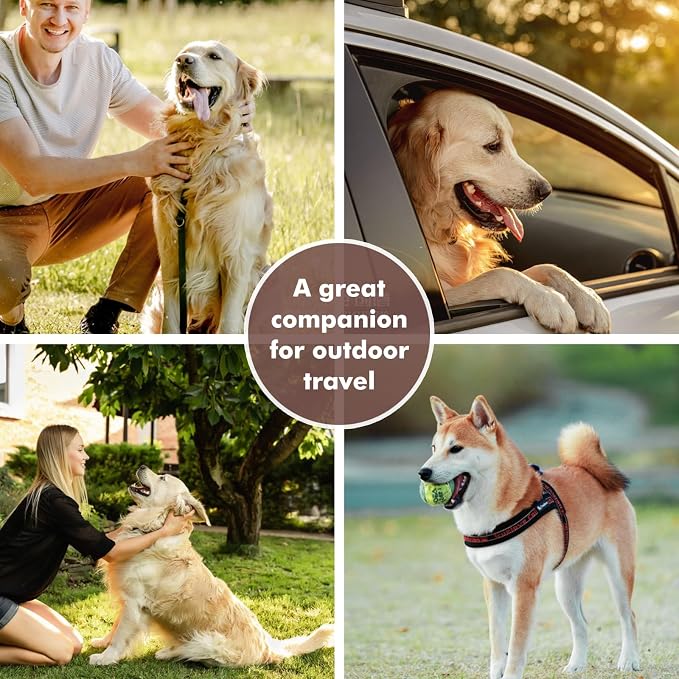 Collapsible Dog Bowls, Travel Food and Water Double Bowl for Cats & Dogs, 2-in-1 Portable BPA-Free Feeding Solution, Perfect for Traveling, Camping & Walking (L/ 100oz)