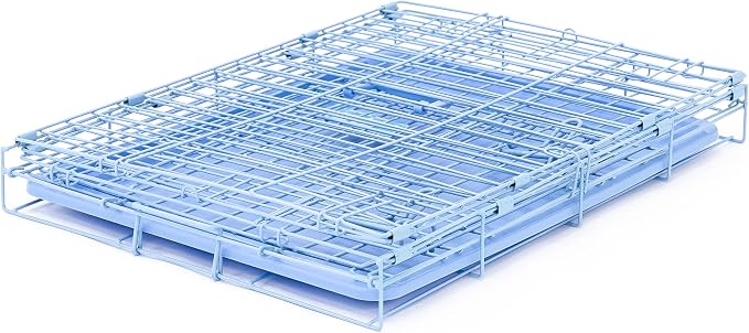 Carlson Pet Products Carlson Compact and Secure Deluxe Blue Metal Dog Crate, Blue