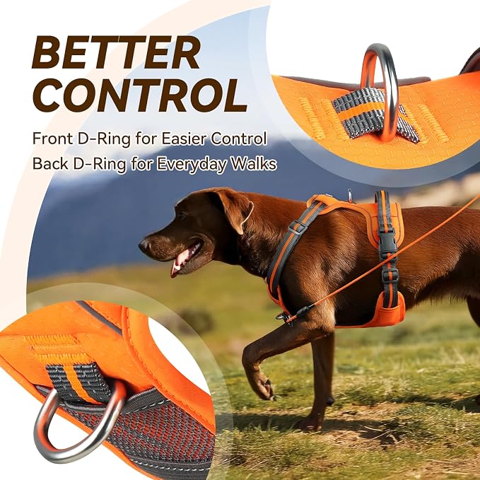VIVAGLORY No Pull Dog Harness Vest Harness, S, Orange - Patterned | with Handle Front and Back Clip for Training & Pulling, No Pull & Escape Proof Padded Adjustable for Pet Puppy