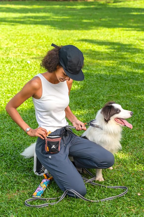 OllyDog, Goodie Treat Bag, Dog Treat Training Pouch | Magnetic Closure | 3 Ways to Wear | Hands-Free Waist Belt | Water-Resistant Recycled Vegan Fabric (Desert)