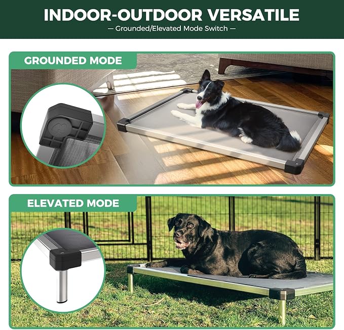 FXW TitanNest Padded Chew-Proof Elevated Dog Bed for Extra-Large Dogs | Easy to Clean, Pre-assembly Raised Cot, Indoor/Outdoor/Camping, 56 x 31 x 7.3in