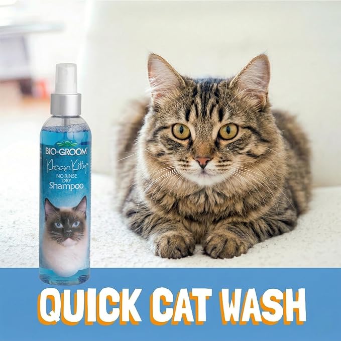 Bio-Groom Klean Kitty Waterless Shampoo for Cats – No-Rinse Formula, Kitten & Pet Grooming Spray, Cruelty-Free, Made in USA, 8 fl oz (1-Pack)