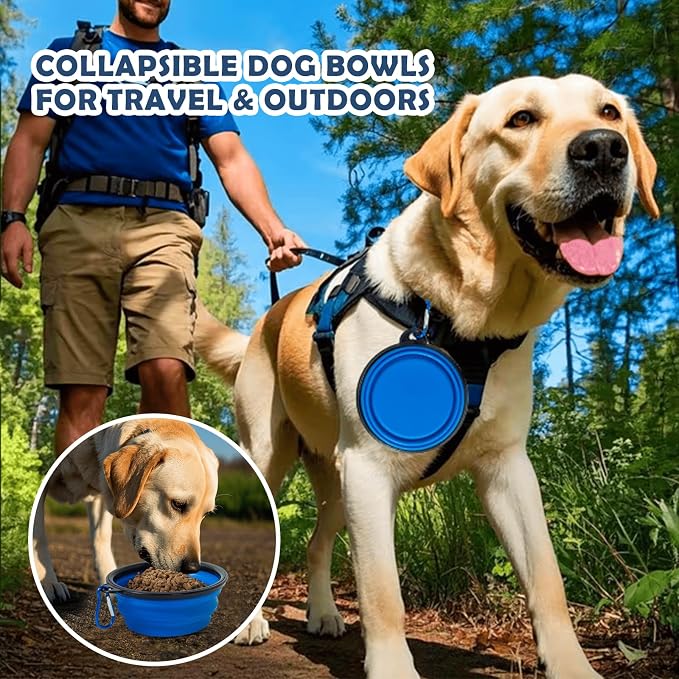 42 Inch Collapsible Dog Travel Crate for Soft Blanket and Foldable Bowl | Sturdy Metal Frame，Indoor & Outdoor，Soft Blanket and Foldable Bowl,Storage Bag,Signature Card,Waterproof,Portable for Camping