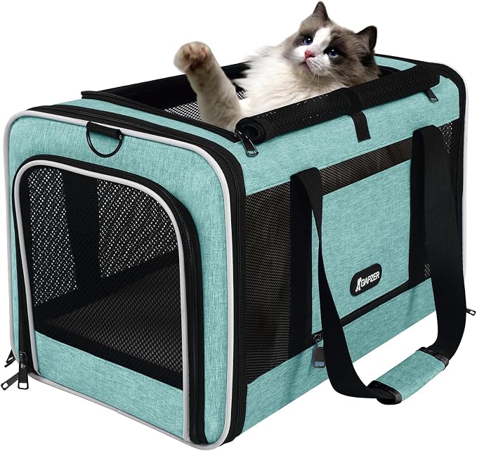 GAPZER Cat Carrier 18"x11"x11" TSA Approved Ventilated Pet Air Travel Cage | Top Open Small Animal Basic Crate, Shih Tzu Dog Softsided Durable Kennel, 4-Mesh-Side Kitty Carry on Case up to 20 lbs Teal