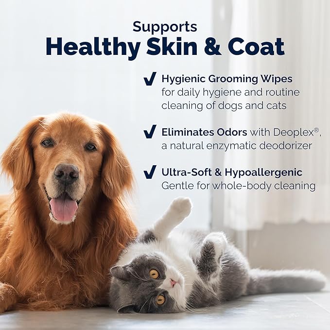 Vetnique DermaBliss Pet Wipes for Dogs & Cats for Grooming, Cleansing & Deodorizing, Thick Dog Wipes for Convenient Dog Cleaning and Natural Pet Odor Eliminator, 100ct (Refreshing Scent)
