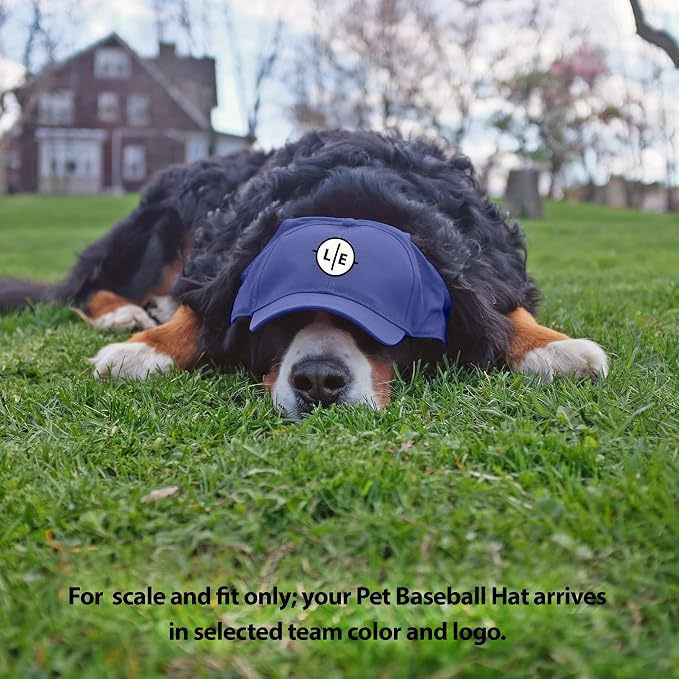 Littlearth Unisex NHL Pet Baseball Hat