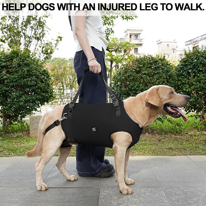 Coodeo Dog Lift Harness, Pet Support & Rehabilitation Sling Lift Adjustable Padded Breathable Straps for Old, Disabled, Joint Injuries, Arthritis, Loss of Stability Dogs Walk (Black, S)
