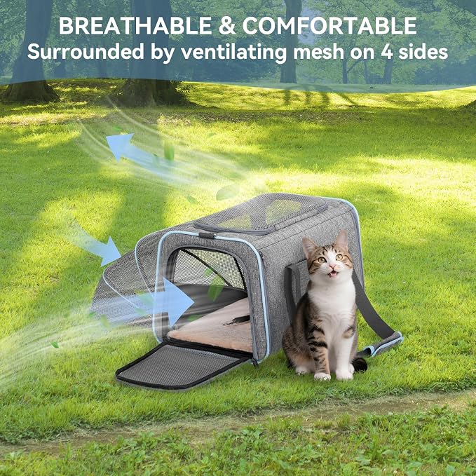Petsfit Small Expandable Cat Carrier for Air Travel, Up to 9 lb | 16 x 10 x 9 in; sized for Alaska Airlines, with locking zippers, an interior safety tether and multi-side ventilation.