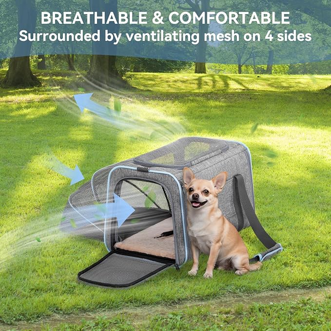 Petsfit Medium Expandable Cat Carrier for Air Travel, Up to 13 lb | 17 x 11 x 11 in; sized for Delta Airlines, with locking zippers, a handy D-ring, large pocket and multi-side ventilation.