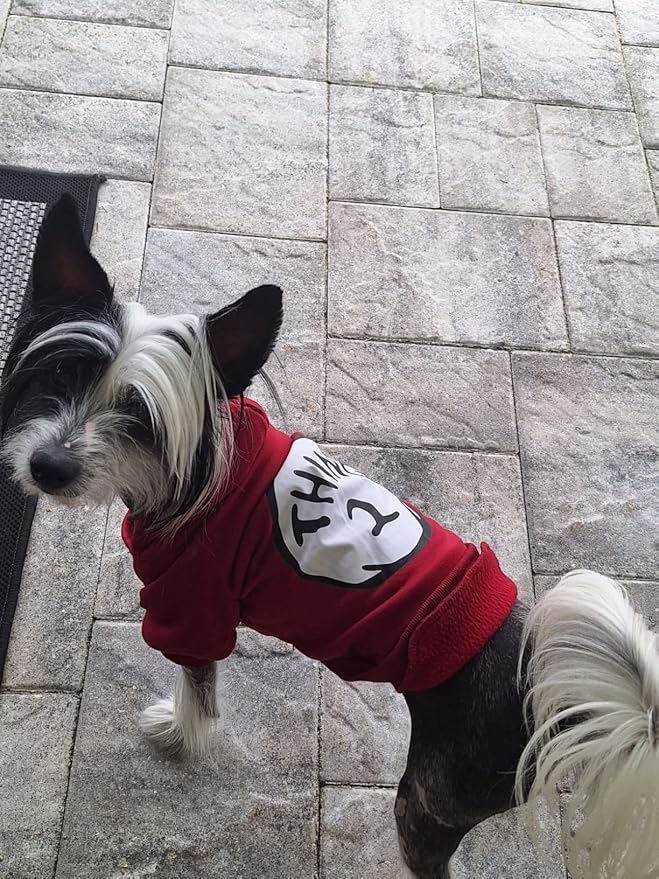 Dog Hoodie Pet Clothes for Small Dogs Thing 2 Printed Hoodies Medium Puppy Hooded Sweatshirt Pullover Outfit(Wine Red 2,XL)