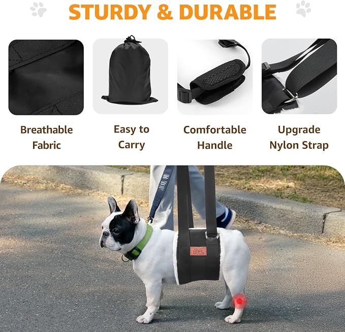 Adjustable Dog Lift Harness for Small Dogs Hind Leg Support Weak Legs Aid | Dog Sling, Helps Seniors, Injured, Disabled and After ACL Surgery Dogs, Daily Walk/ Stairs, Soft Padded, Easy to Use